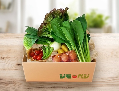 a08-007d ジモベジ 野菜 ハーフセット