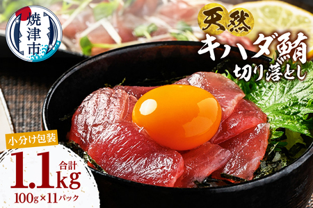 a14-114　天然 キハダマグロ 一口サイズカット 刺身 小分け セット 赤身 1パックあたり 100g 海鮮丼 刺身 寿司 漬け丼 焼津 海の極 1.1kg（100g ×11パック）