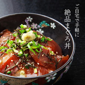 a10-1276 天然 ビンチョウマグロ 漬け 小分け 焼津 海の極 計1.21kg 110g×11P