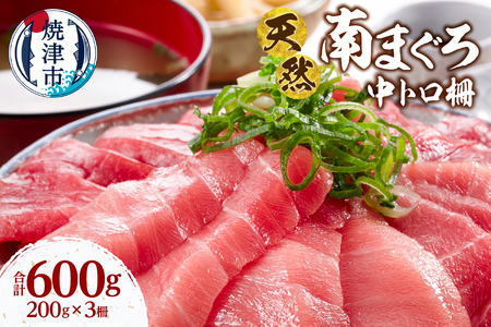 a25-066　天然 ミナミマグロ 中トロ 柵 刺身 焼津 海の極 計600g 200g×3