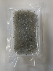 a10-1266 静岡県産お刺身用生しらす:100g×6パック 合計600g