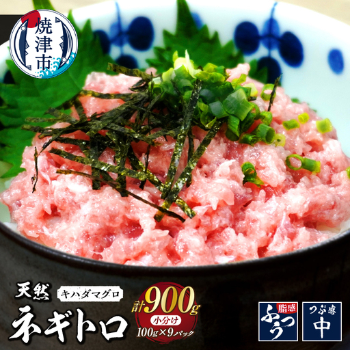 a10-1288　焼津 海の極 海伸 マグロ ネギトロ 小分け 900g 100g×9パック