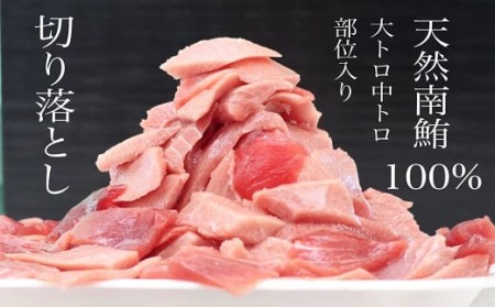 天然 南鮪 100% 切り落とし 大トロ 中トロ含 約400g