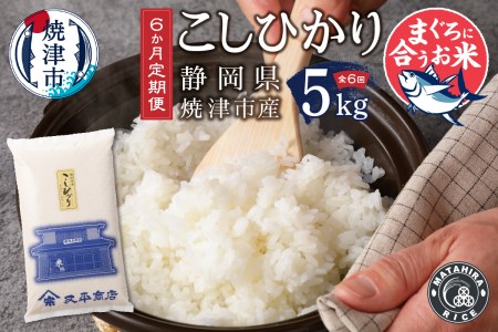 定期便6回 令和5年産新米 マグロ ネギトロ に合う 焼津のお米 こしひかり 5kg[定期便]