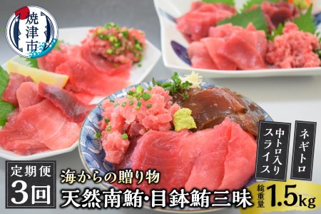 a30-232　海からの贈り物 焼津天然まぐろ三昧(3回お届け)定期便【定期便】