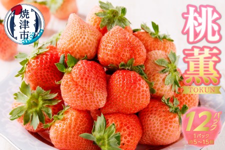 a30-224@󏭕iuOv`̍聕H12pbN`