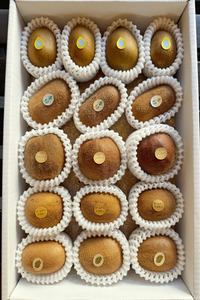 y11~3̊ԌzJtLEC 5E15`18Zbg Y I[KjbN L@͔| 6937