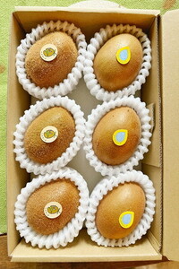 y11~3̊ԌzJtLEC26Zbg Y I[KjbN L@͔| 6853