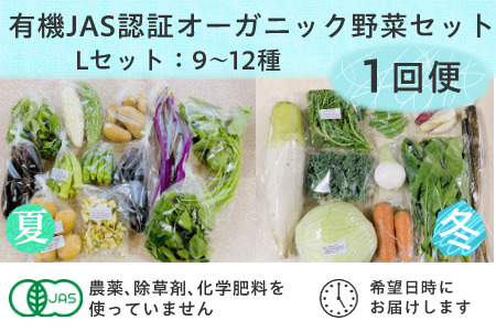 野菜 オーガニック 野菜 レギュラーサイズ 野菜セット 有機JAS認証 有機野菜 9〜12袋 しあわせ野菜畑 6337