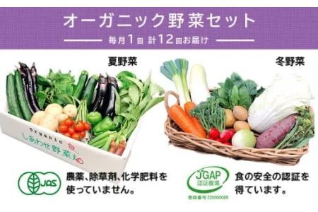 野菜 オーガニック 野菜 レギュラーサイズ 野菜セット×12回 定期便 有機JAS認証 有機野菜 9〜12袋 しあわせ野菜畑 6153