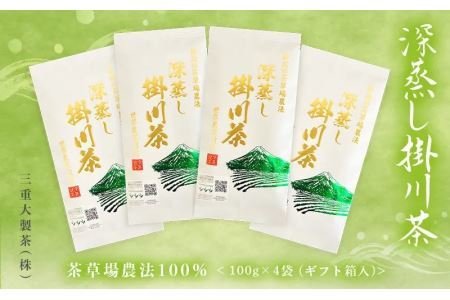 茶草場農法 100% 深蒸し掛川茶 100g×4袋(ギフト箱入)(新茶 ･令和7年5月下旬より発送 ②令和6年度産:今すぐ発送) 三重大製茶 (※新茶受付あり) 1879