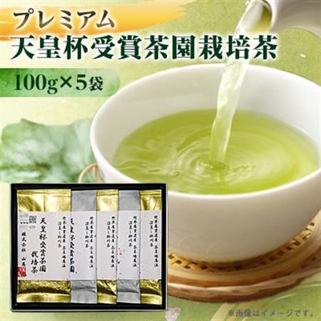 【2026年先行予約】新茶　天皇杯受賞茶園栽培のプレミアム茶100g×5袋【配送不可地域：離島・沖縄県】【1551501】