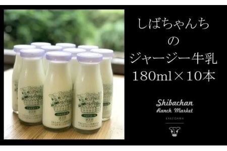 しばちゃんちの ジャージー牛乳 180ml × 10本 セット 柴田牧場しばちゃんちの ジャージー牛乳 180ml × 10本 セット 柴田牧場 6170