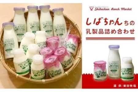 しばちゃんちの 乳製品 詰め合わせ( 牛乳×5 食べるヨーグルト×5 飲むヨーグルト×5 )柴田牧場 6174