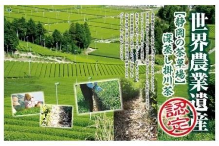 世界農業遺産 ( 茶草場農法 )「 深蒸し掛川茶 」セット ギフト箱入(新茶･令和7年5月上旬より発送 ②令和6年度産:今すぐ発送) 美笠園 深蒸し茶 1942