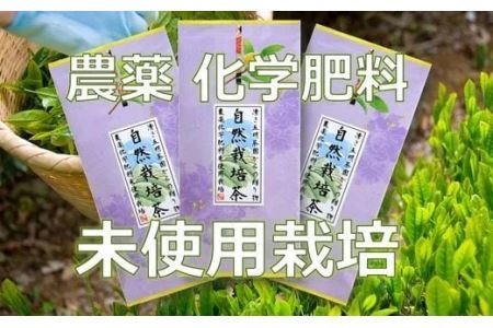 農薬 と 化学肥料未使用の 自然栽培茶 100g×3袋 計300g 美笠園 2035