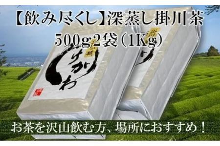 深蒸し掛川茶飲み尽くし用セット 500g × 2袋 計1Kg 美笠園 深蒸し茶 2036