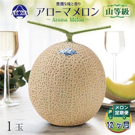【毎月定期便】アローマメロン(山等級) 1玉 全12回【配送不可地域：離島・北海道・沖縄県】【4013000】