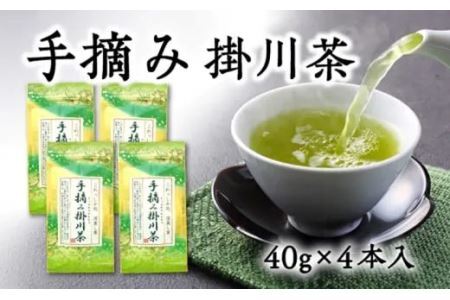 希少な「 手摘み 掛川茶 」 40g × 4袋 ･ 計160gセット 深蒸し掛川茶 佐々木製茶 1890