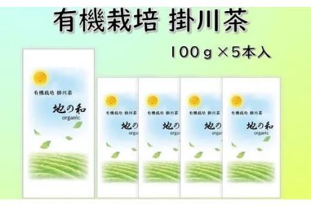 発送有機栽培 オーガニック掛川茶 100g×5本入 佐々木製茶 ( 一番茶 浅蒸し オーガニック 有機 掛川茶 静岡 掛川市 小分け 深蒸し掛川茶 500g 人気 佐々木製茶 ) 1898