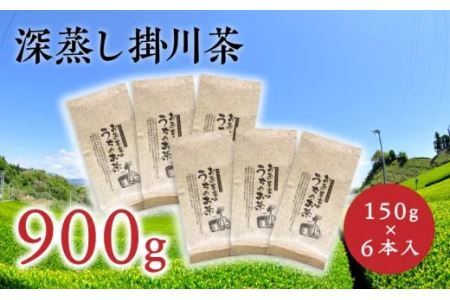 訳あり 深蒸し掛川茶 900g 大容量 見た目より味重視 茎や粉が混ざっていてもいいよ。という方向け。150g×6本入 佐々木製茶 ( 一番茶 深蒸し茶 掛川市 掛川茶 静岡 掛川市 小分け 深蒸し 人気 たっぷり 佐々木製茶 ) 1901