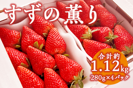 【26年1～2月頃順次発送】すずの薫り280g×4P 1.12kg いちご 7122