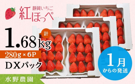【2026年先行予約】紅ほっぺ(280g×6P) 完熟いちご イチゴ フルーツ 果物 6890