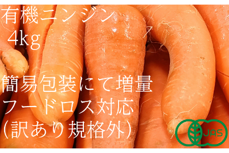 y󂠂it[hXjzL@jW4kgi12E1E2jKiO I[KjbN   _ ɂ񂶂@lQ 2138