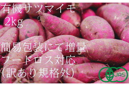 y󂠂it[hXjzL@Tc}C2si12E1E2jKiO I[KjbN  _ ܂ Ï 2140