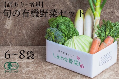 [フードロス対応・規格外野菜利用]有機野菜 シェフSセット オーガニック野菜 1回 6903