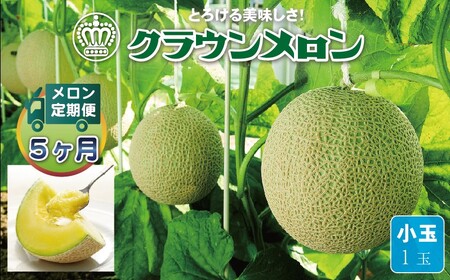 �y��������ցz�N���E��������(������) ����1�� �S5�� 7125