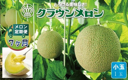 �y��������ցz�N���E��������(������) ����1�� �S7�� 7126