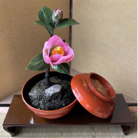 [冬 わびすけつばき]四季を彩る創作草もの盆栽(工芸品)〜工房椿[配送不可地域:離島・北海道・沖縄県]