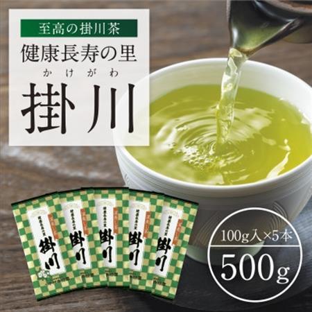 特上深蒸し掛川茶「健康長寿の里 掛川」100g×5本セット【配送不可地域：離島・沖縄県】【1650540】