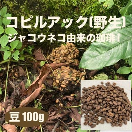 ジャコウネコ由来の希少コーヒー 野生コピルアック珈琲・掛川自家焙煎で丁寧に仕上げた贈答品 100g【配送不可地域：離島・沖縄県】【1651759】