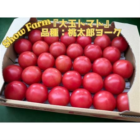 Show Farmの『大玉トマト』(品種:桃太郎トマト)計 約3.5～4kg【配送不可地域：離島・沖縄県】【1721445】