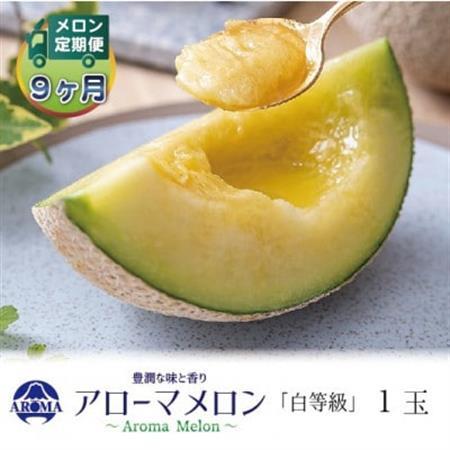 【毎月定期便】アローマメロン(白等級) 1玉　全9回【配送不可地域：離島・北海道・沖縄県】【4071981】