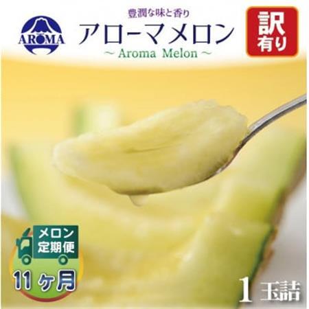 【毎月定期便】【訳あり】アローマメロン 1玉　全11回【配送不可地域：離島・北海道・沖縄県】【4071995】