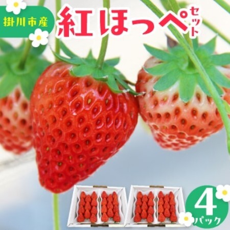 【先行受付2027年発送】紅ほっぺセット(4パック約1040g)甘さと酸味がほどよく爽やかないちご【配送不可地域：離島・北海道・沖縄県・四国・九州】【1676900】