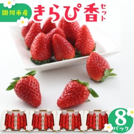 【先行受付2027年発送】きらぴ香セット(8パック約2080g)酸味は控えめで濃厚な甘さのいちご【配送不可地域：離島・北海道・沖縄県・四国・九州】【1676948】
