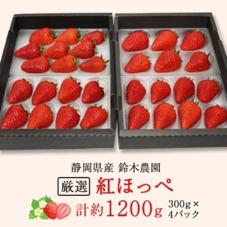 【2027年発送　先行受付】静岡県産いちご「厳選紅ほっぺ」4パック　約1.2kg【配送不可地域：離島・北海道・沖縄県・東北・中国・四国・九州】【1689359】