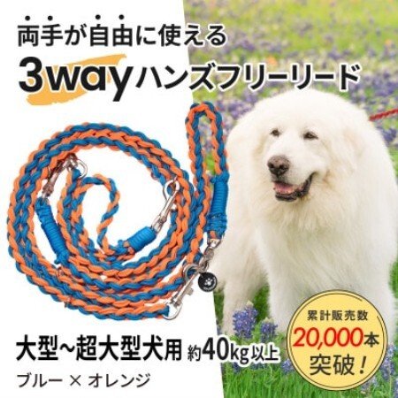 [犬用]3WAYハンズフリーリード(大型〜超大型犬用)ブルー×オレンジ[ゴールデンママ][配送不可地域:離島・沖縄県]