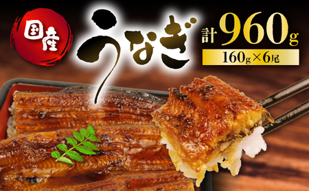 国産 160g 蒲焼 うなぎ 6尾 鰻 鰻