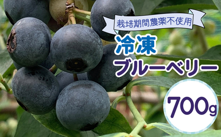 [オンライン決裁限定][令和6年7月下旬より順次発送] 冷凍 フ?ルーヘ?リー 700g ご家庭用 フルーツ ベリー 甘い くだもの 果物 農家直送 産地直送 冷凍フルーツ さんかく山の里 大塚園 静岡県 藤枝市