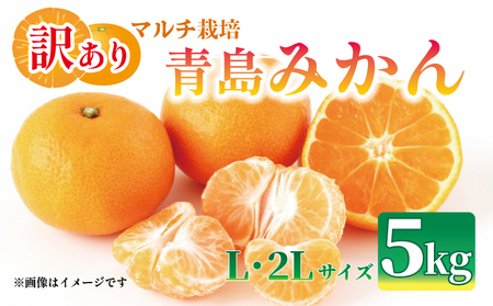 [先行予約:2026年1月上旬より発送] 訳あり みかん 5kg L〜2L 青島 ミカン 果物 国産 フルーツ 柑橘 数量限定 静岡県産 マルチ栽培 蜜柑 大小 ミックス 不揃い ビタミン 美味しい 静岡県 藤枝市 ふるさと人気