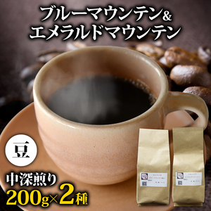 コーヒー豆 400g ブルーマウンテン エメラルドマウンテン 各200gセット メール便でお届け コーヒー 高級 美味しい 鮮度 新鮮 自家焙煎 珈琲 藤枝市 静岡県 豆 アイスコーヒー コｰヒｰ |コｰヒｰ豆 コｰヒｰ豆