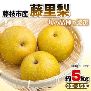 [ オンライン決済限定 ] 梨 藤里梨 5kg ( 9玉 ~ 15玉 ) | 梨梨梨梨梨