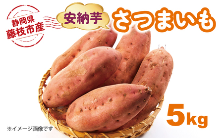 [先行予約:2024年11月中旬〜2025年2月末発送予定] さつまいも 安納芋 5kg 期間限定 受付期間:2025年2月15日まで サツマイモ さつま芋 イモ 芋 いも 野菜 やさい 人気 おすすめ 静岡県 藤枝市 ( サツマイモ 芋 さつまいも )