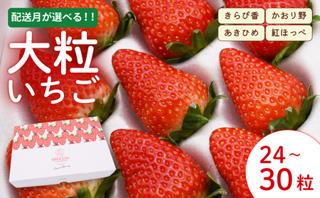 いちご 先行予約:2026年4月発送 あきひめ 紅ほっぺ かおりの きらぴ香 大粒 24〜30粒 いちご