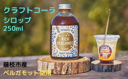 Ntg R[ Vbv ߃^Cv 250ml xKbg t[o[ ݕ Mtg  }s É |